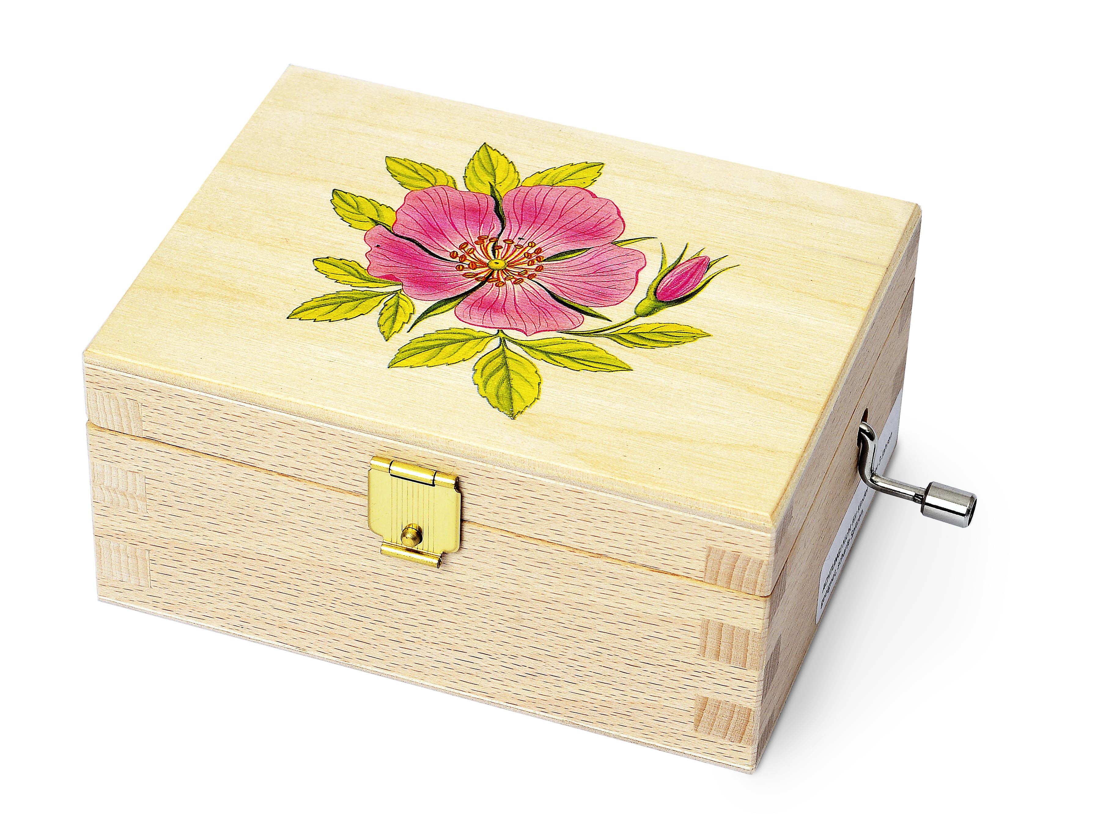 Alpenblume Heckenrose