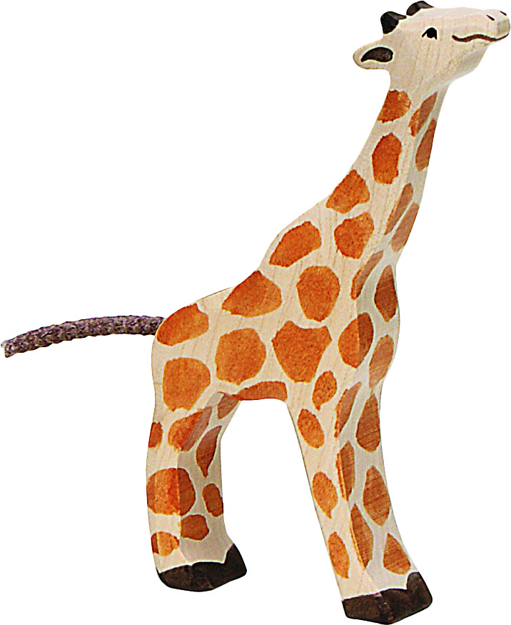 Giraffe, klein, fressend