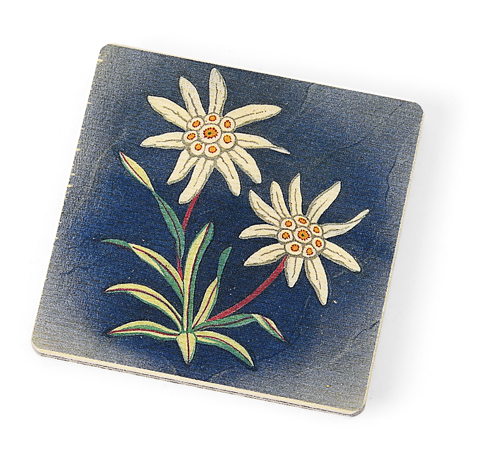 Edelweiss